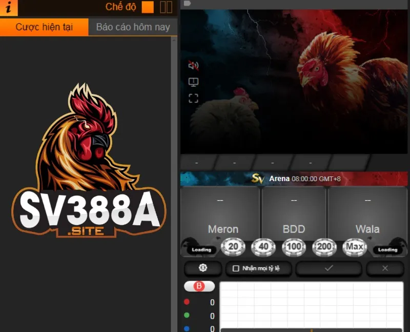 Khám phá trực tiếp gà SV388 - sân chơi dành cho các kê thủ